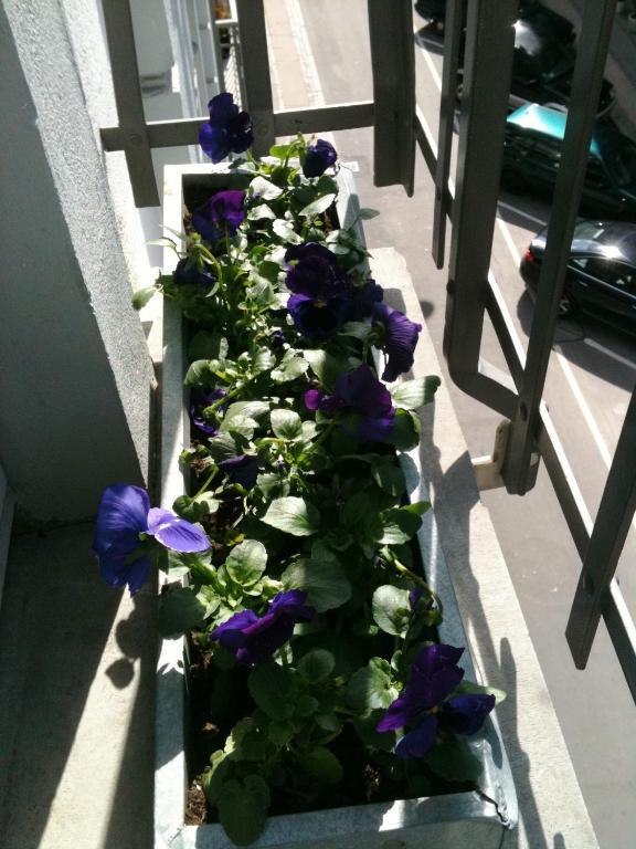 The Pea Blossom B&B Copenhagen Luaran gambar