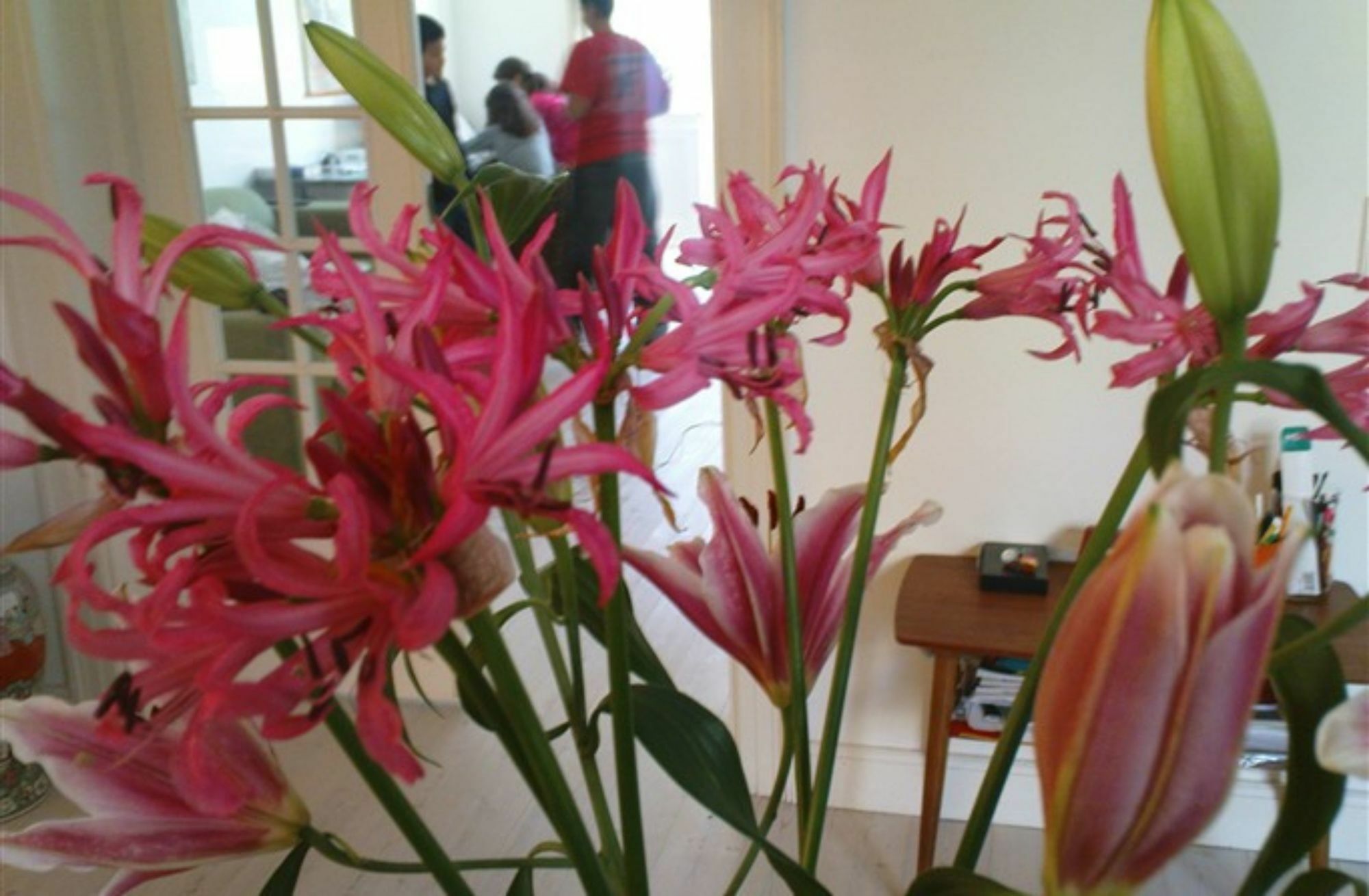 The Pea Blossom B&B Copenhagen Luaran gambar